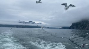 В бухте Русской