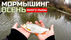 Хороший осенний клёв. Мормышинг Наноджиг Ультралайт