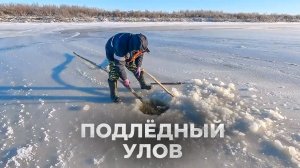 Подлёдная рыбалка в Белоярске: как ставят сети на Щучьей
