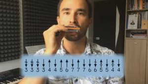 Джазовые линии на гармонию II-V-I  в разных позициях (С-гармошка)