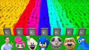 ВЫБЕРИ ПРАВИЛЬНЫЙ ЛАБИРИНТ ВЛАД А4 СИРЕНОГОЛОВЫЙ СИНИЙ РАДУЖНЫЙ ДРУГ СОНИК В МАЙНКРАФТ