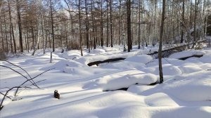 Проверка капканов часть #4.