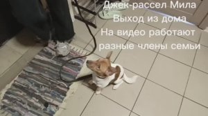 после курса послушания