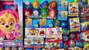 ЩЕНЯЧИЙ ПАТРУЛЬ ! СЮРПРИЗЫ новые игрушки