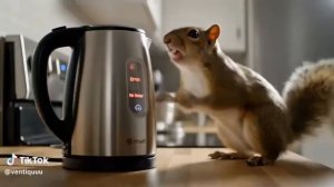 Preview 2 TDBVE2025 Stuff V18