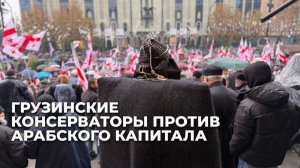 В Тбилиси протестуют против арабских инвестиций и бесконтрольной миграции