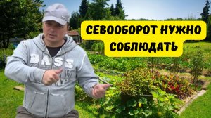 ОЧЕНЬ ВАЖНО!!! ТРИ ПРИЧИНЫ ДЛЯ СОБЛЮДЕНИЯ СЕВООБОРОТА!!!