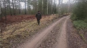 Охота с Русским пегим.  07.12.2025 год.
