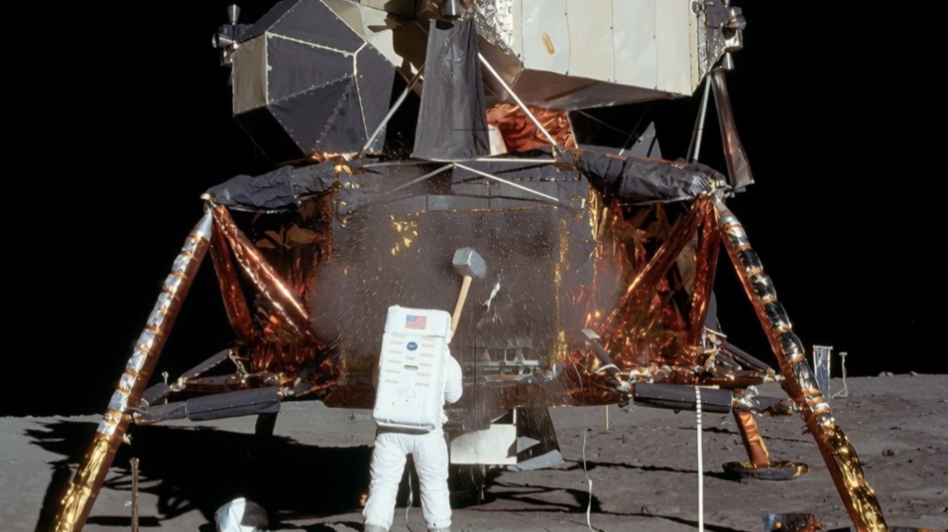 "Родина Слонов" - АПОЛЛОНИАДА смотреть онлайн