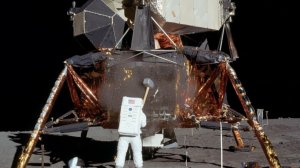 "Родина Слонов" - АПОЛЛОНИАДА