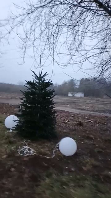 [Евгения Царегородцева] - 2025-12-01. Холодная дорога через парк