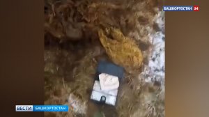 Кошелек с крупной суммой денег обнаружили в желудке у коровы в Башкортостане