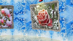 Розы на Снегу в Ледяной Галерее 1 от Киностудии Мудрого Кота Тимофея!