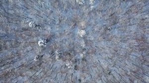 8 декабря - Сильный день. Увидели этот знак - Будьте внимательны.