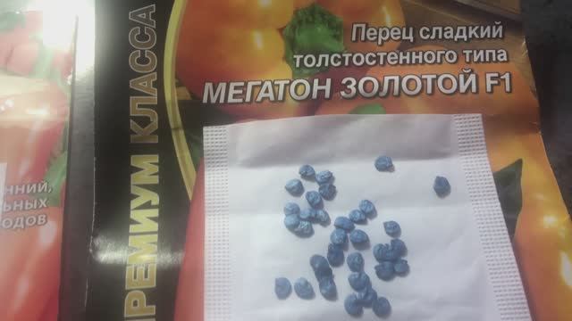 СЕМЕНА ЭТОГО ПРОИЗВОДИТЕЛЯ БОЛЬШЕ ПОКУПАТЬ НЕ БУДУ!