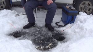 Ловля писуча на водохранилище Кучелиново 12.03.2018