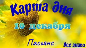Карта дня❄10  декабря🎄☃️Пасьянс. Тайм-код в описании🦢