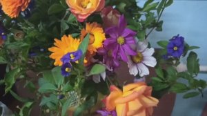 У нас  цветоводство. Вот такие семена принесла с него.