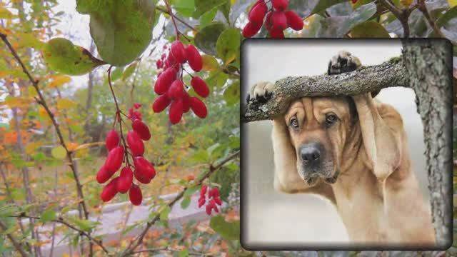 ВОТ И ЛЕТО ПРОШЛО