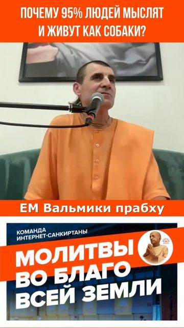 Почему 95% людей мыслят и живут как собаки?