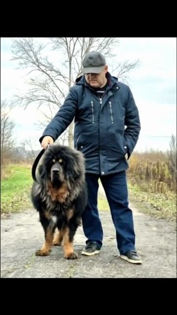 Алексей Шабанов с любимым верным другом