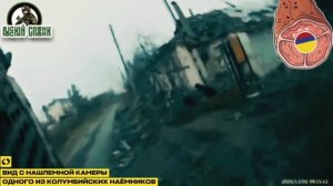 Колумбийские наёмники прячутся от атак наших дроноводов в Купянске