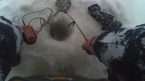 Зимняя рыбалка на балансир.Открытие сезона зимней рыбалки 2025-2026