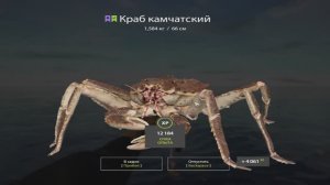 Русская Рыбалка 4. Норвежское море. 55-ая банка