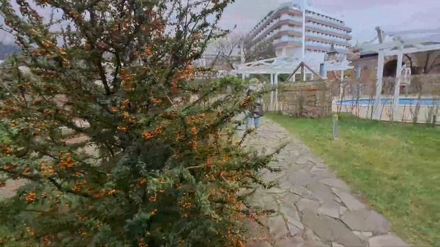 Лучший Отель Геленджика