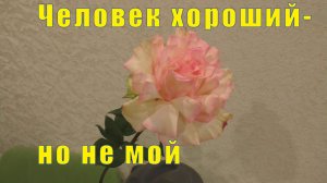 ЧЕЛОВЕК ХОРОШИЙ - НО НЕ МОЙ /А МЫ В БАССЕЙН/ 30 ноября 1 / 2 и 3 декабря  2025 г