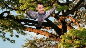 Слив 2 серии сериала Ни-Ни-Нишки