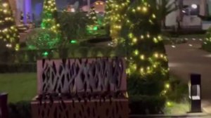 Новый год и рождество. En strålande jul