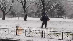 Казань с уборкой несуществующего снега не одинока. В Петербурге до сих пор траву косят.