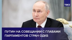Путин на совещании c главами парламентов стран ОДКБ