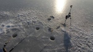 РЫБАЛКА В ГЛУХОЗИМЬЕ / ЗАКОРМИЛ ЛУНКИ И РЫБАЛКА ПОНЕСЛАСЬ