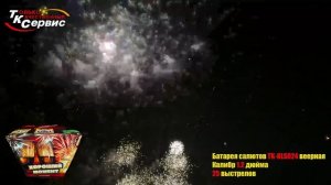 Батарея салютов TK-KLS024 " Хороший момент " веерная 2024