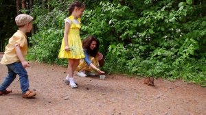 Летняя прогулка по Павловску