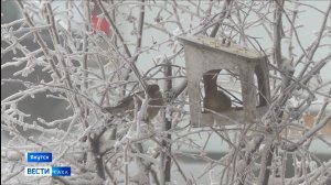 11:30 ВЕСТИ САХА 08/12/25 НА РУССКОМ ЯЗЫКЕ