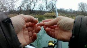 НАШЁЛ РЫБНУЮ ТРОПУ. РЫБАЛКА НА ПОПЛАВОК. КРУПНАЯ ПЛОТВА