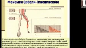 АНС. Дьяконова И.Н.