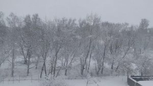 Погода сегодня Челябинск / Встречаем зиму