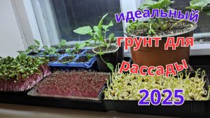 Готовлю грунт для выращивания рассады и цветов. Мой огород на подоконнике.
