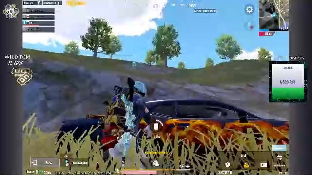 LIVE: WildTom_YouTube