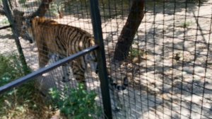 Парк "Тайган" 2025г