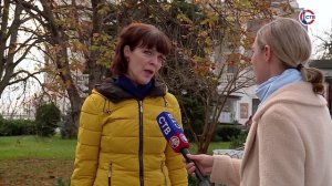 Севастопольцы о прямой линии губернатора