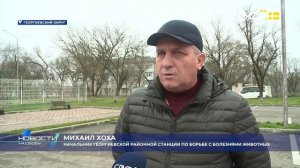 Новости на Своём от 9 декабря 2025г. 8:30