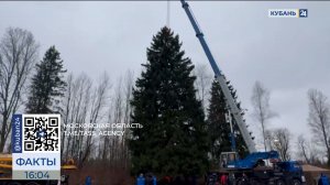Главная новогодняя елка страны приедет в Кремль из Подмосковья