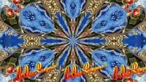 С Днём Рождения! Зимняя Сказка из Роз 14 от Киностудии Мудрого Кота Тимофея!!!