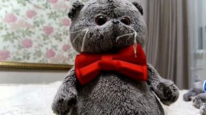 кот Басик и живые игрушки