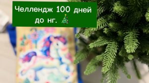 Челлендж 100 дней до нг, часть 2. 🎄